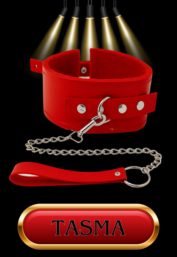 10 Parça Fantazi Seti | Kırmızı Peluş Kelepçe, Zincirli   Maske, Paddle, İp ve Aksesuarlar