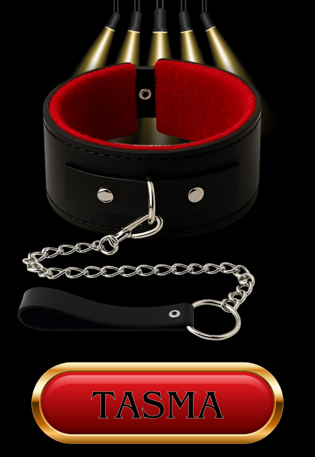 10 Parça Fantazi Seti | Kırmızı Peluş İç Yüzeyli Kelepçer, Maske, Paddle, İp ve Aksesuarlar