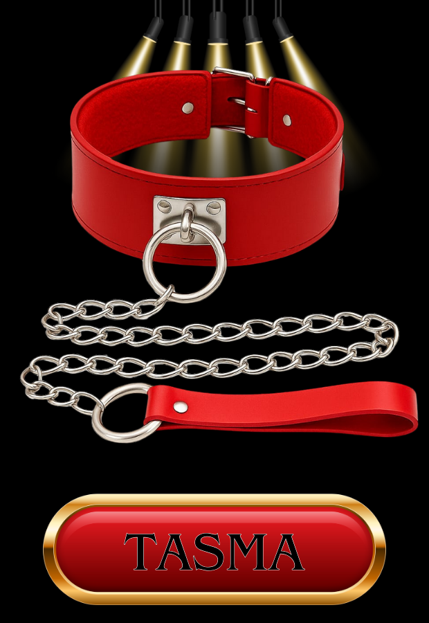 10 Parça Fantazi Seti | Kırmızı Peluş Kelepçe, Zincirli   Maske, Kırbaç, Tüy ve Aksesuarlar